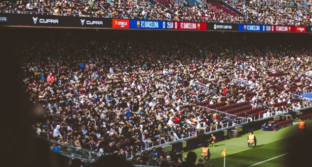 The Business of Sports Entertainment and the Growth of Fan Engagement